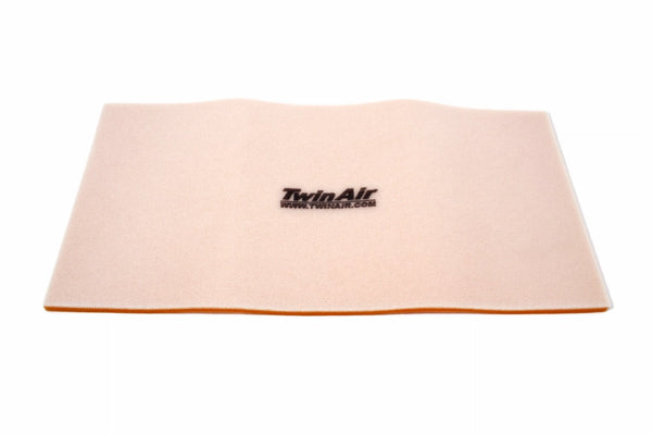 Twin Air Air Filter — 160003