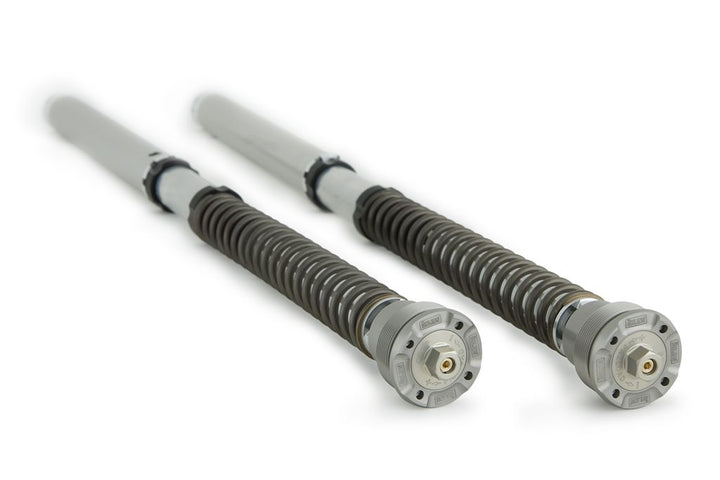 Öhlins NIX 30 Fork Cartridge Kit (FGK 204)