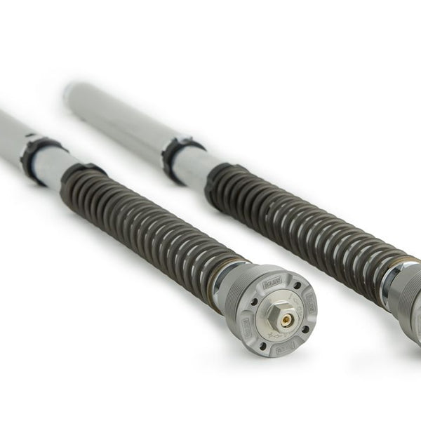 Öhlins NIX 30 Fork Cartridge Kit (FGK 212) for 2009-2018 BMW S1000RR +1 more