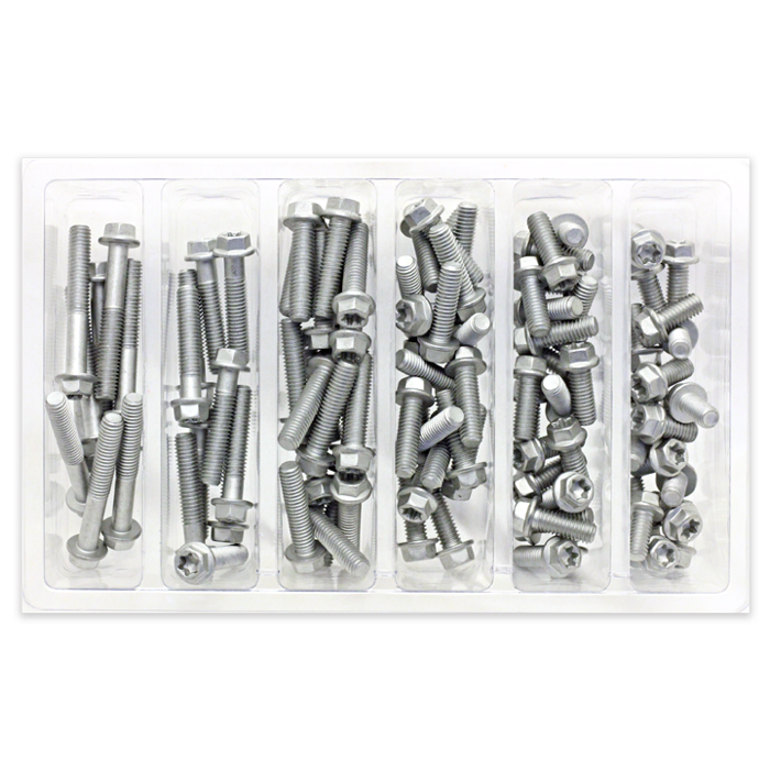 Bolt M6 Euro Style Torx Bolt Service Assortment (100 Pieces)