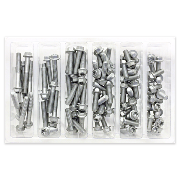 Bolt M6 Euro Style Torx Bolt Service Assortment (100 Pieces)