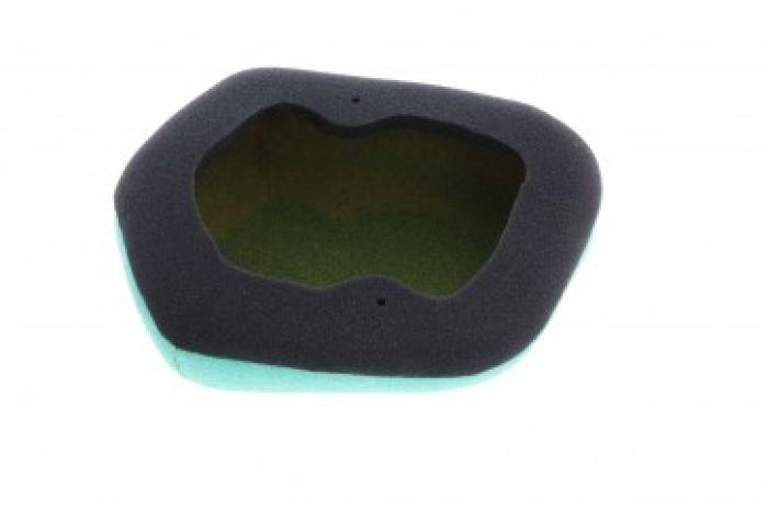 Twin Air Standard Air Filter (154224FRX)