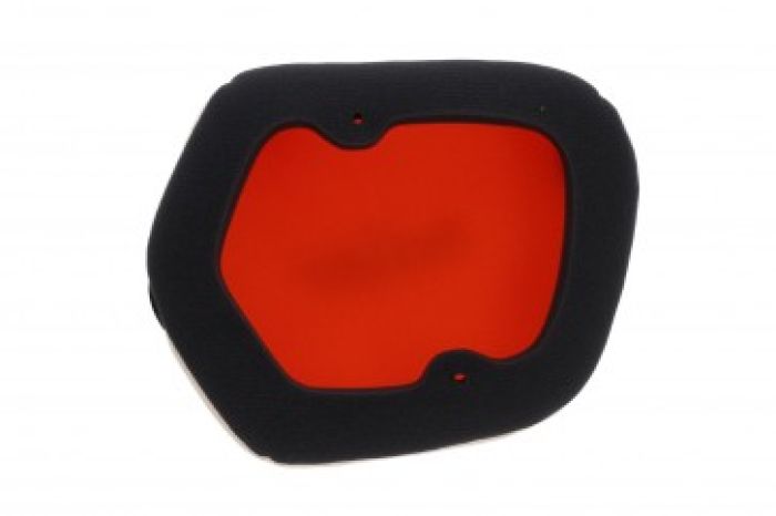 Twin Air Standard Air Filter (154225)