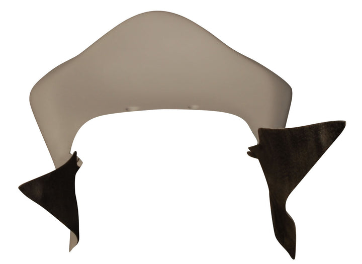 Armour Bodies 2005-06 Kawasaki ZX6R Supersport Tail