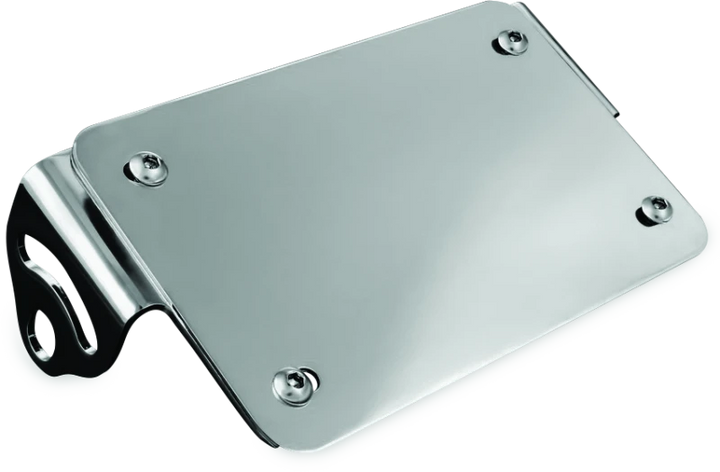 Kuryakyn License Plate Turn Signal &amp; Marker Light Mount Chrome