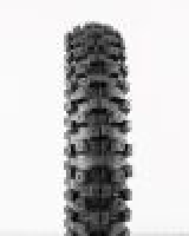 ProTaper MXT 04 — 60/100-12 Front