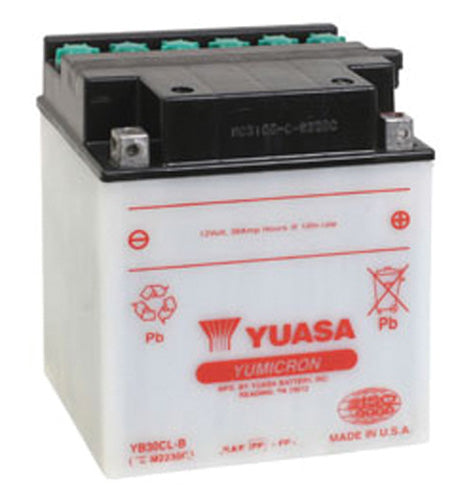 Yuasa YB30CL-B Conventional Battery