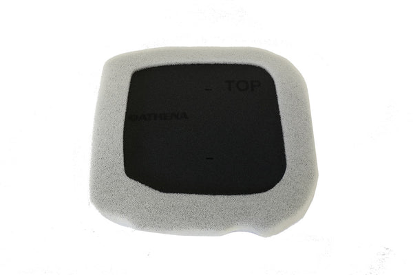 Athena Air Filter — S410220200010