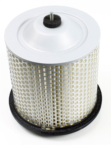 Hiflofiltro Air Filter — HFA3904