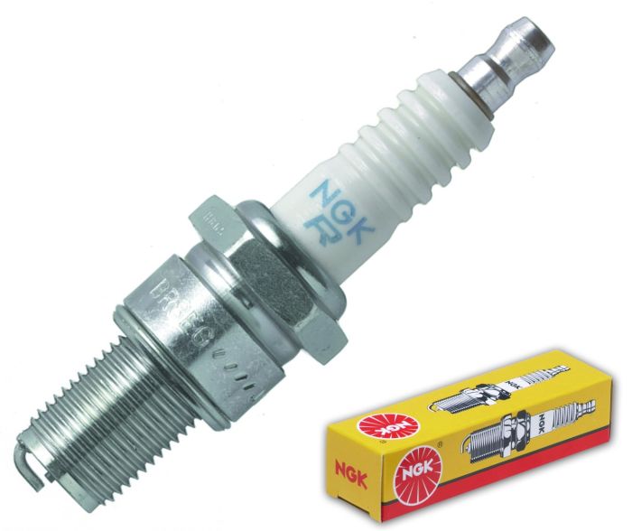 NGK Standard Spark Plug — BR8EG (Solid)