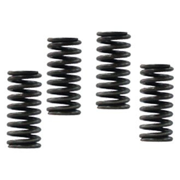 Vesrah Clutch Springs — SK-144