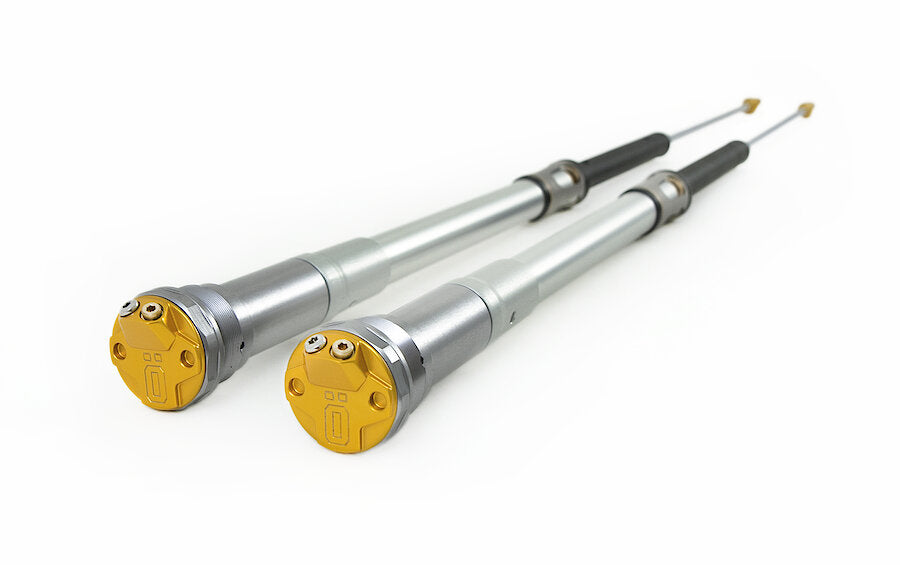 Öhlins TTX 22 Fork Cartridge Kit (FCX 1302)