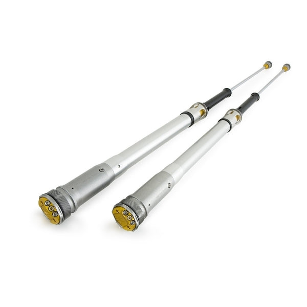 Öhlins TTX 22 Fork Cartridge Kit (FCX 1201)
