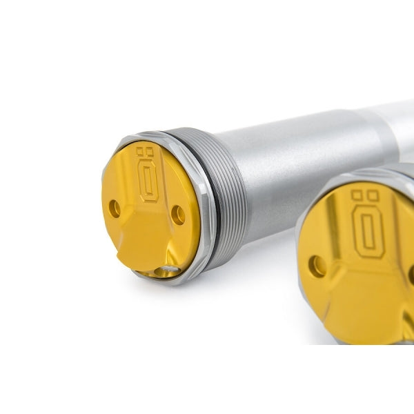 Öhlins TTX 22 Fork Cartridge Kit (FCX 1203)