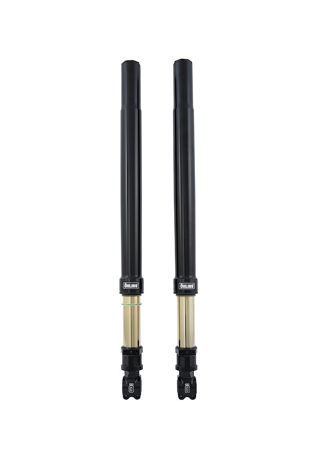 Öhlins Custom 43 Fork Assembly (FF 521)