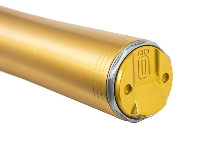 Öhlins RXF 48 Fork Assembly (FFX 1204)