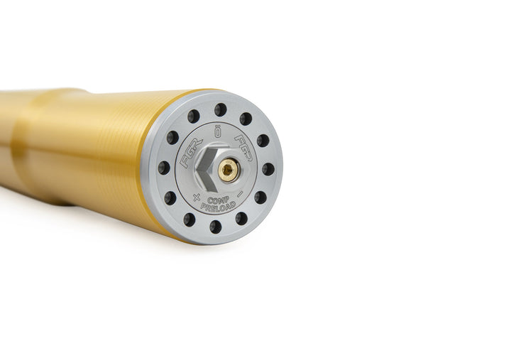 Öhlins FGR 250 Fork Assembly (FGR 250)