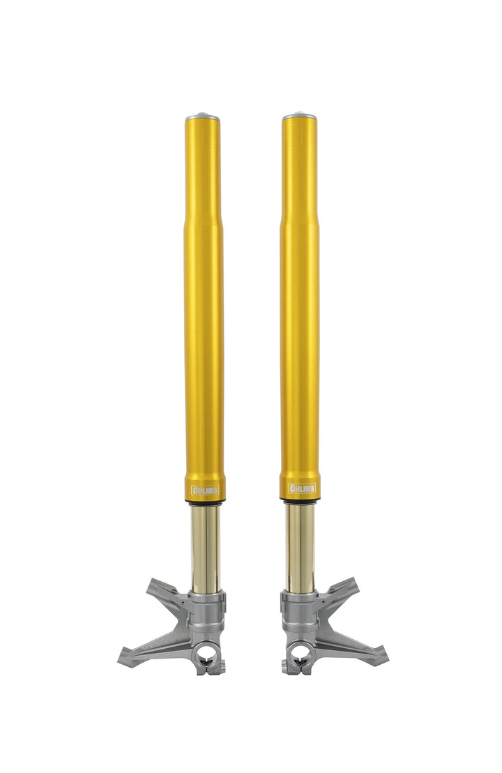Öhlins FGR 250 Fork Assembly (FGR 250)