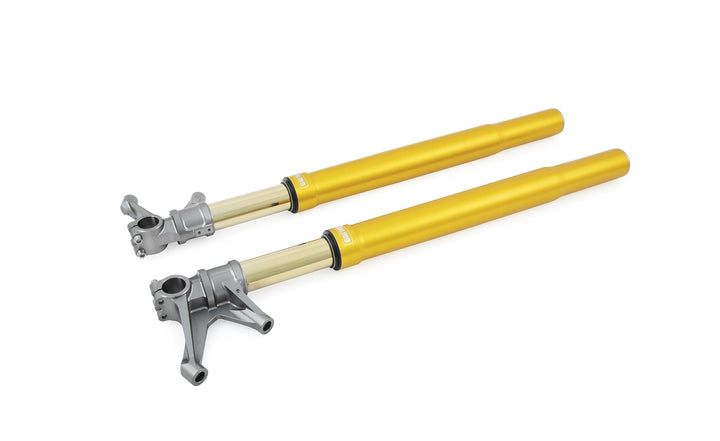Öhlins FGR 250 Fork Assembly (FGR 252)