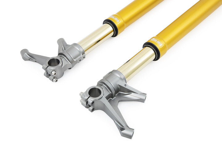 Öhlins FGR 250 Fork Assembly (FGR 250)