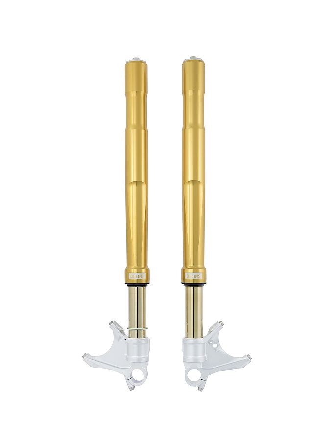 Öhlins FGRT 200 Fork Assembly (FGRT 236)