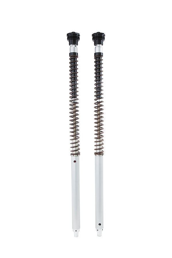 Öhlins NIX 30 Adventure Fork Cartridge Kit (FKA 115)