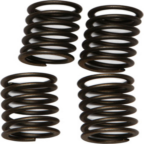 EBC Clutch Springs — CSK147