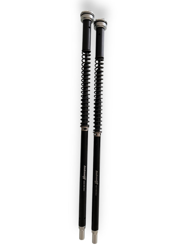 Andreani Misano Fork Cartridge - Harley-Davidson Road King (210/HD34E)