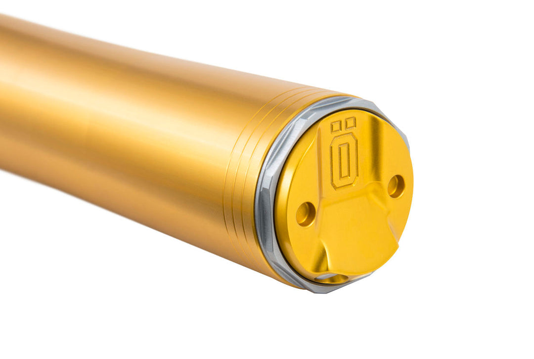 Öhlins RXF 48 Fork Assembly (FFX 1302)