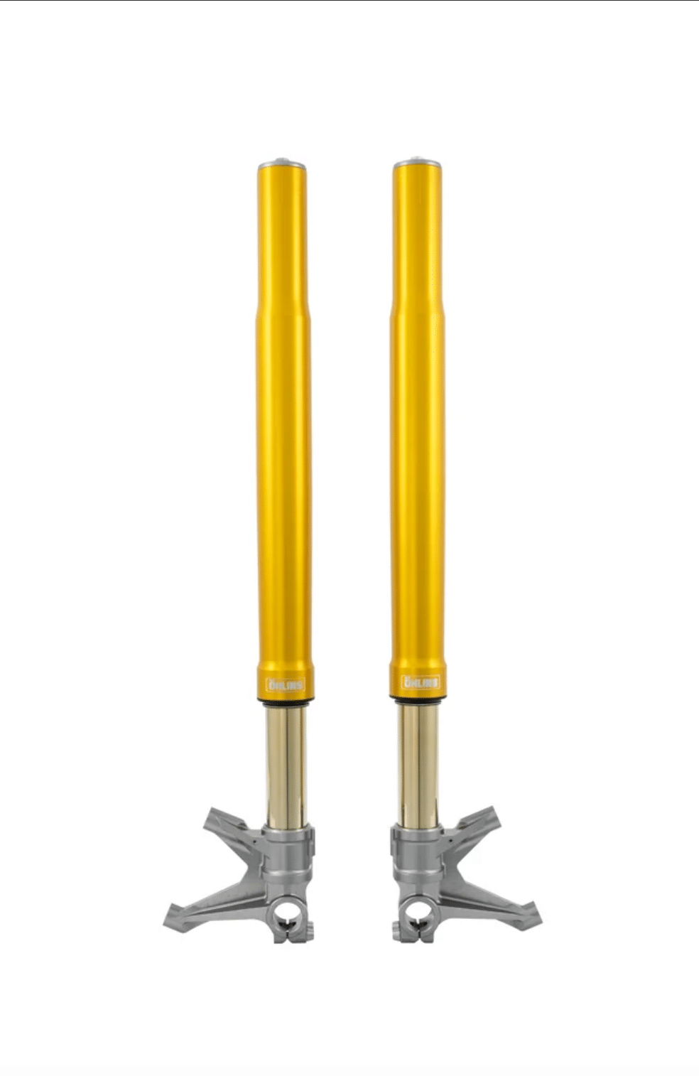 Öhlins FGR 250 Fork Assembly (FGR 254)