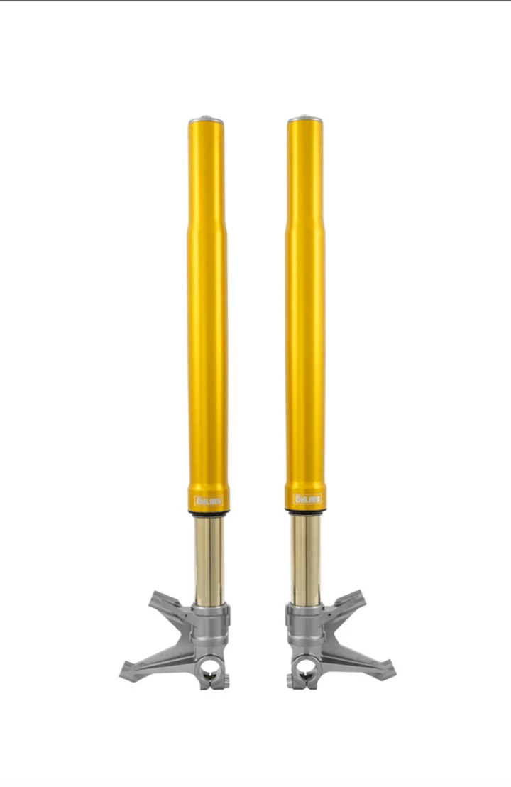 Öhlins FGR 250 Fork Assembly (FGR 256)