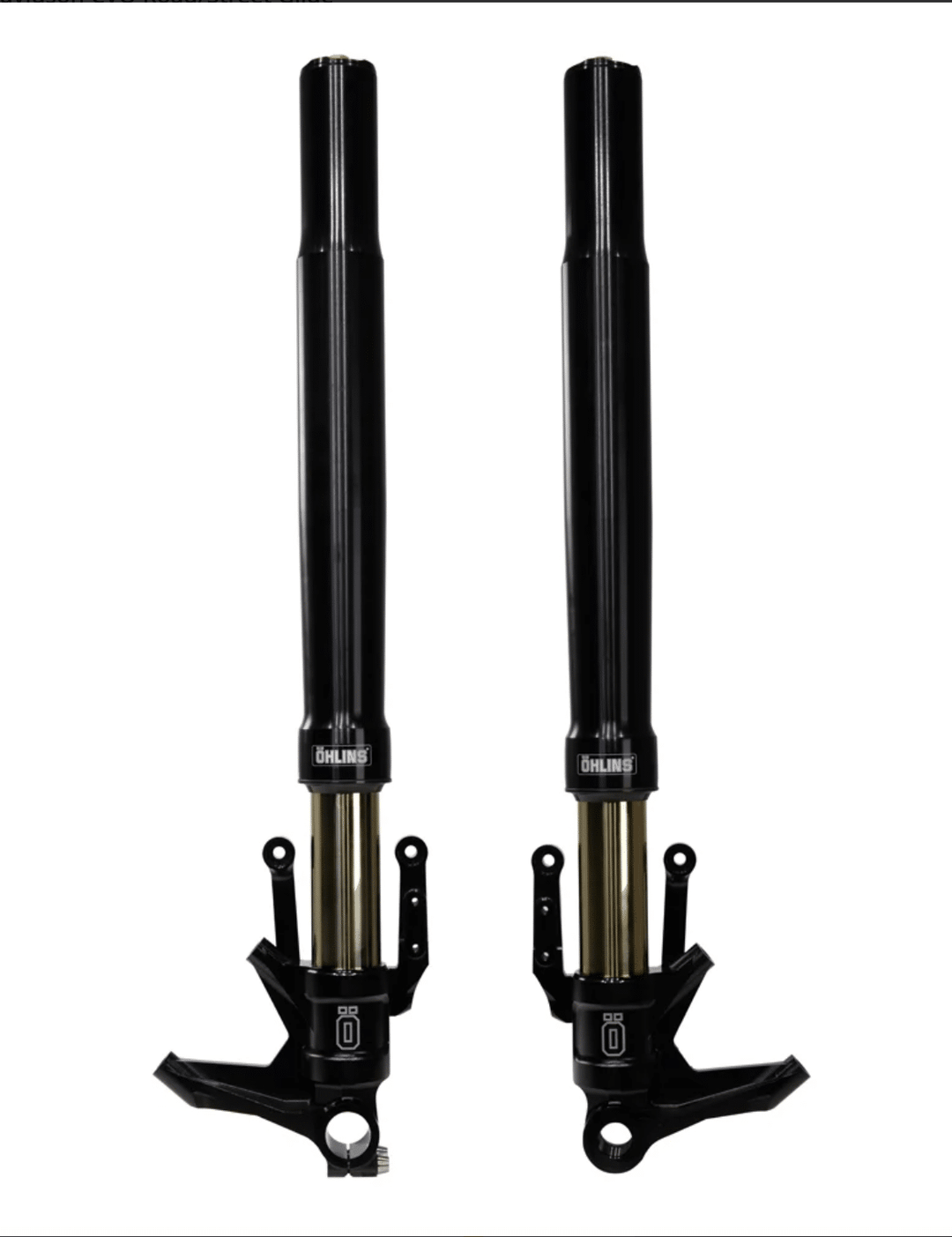 Öhlins FGRT 300 Fork Assembly (FGRT 307)