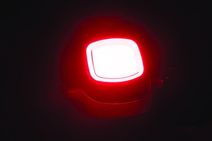 Kuryakyn Tracer LED Tail Light Smoke Lenses Without License Light