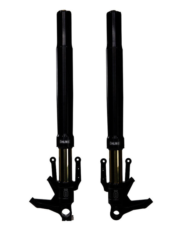 Öhlins FGRT 300 Fork Assembly (FGRT 307)