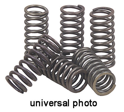 EBC Clutch Springs - CSK115