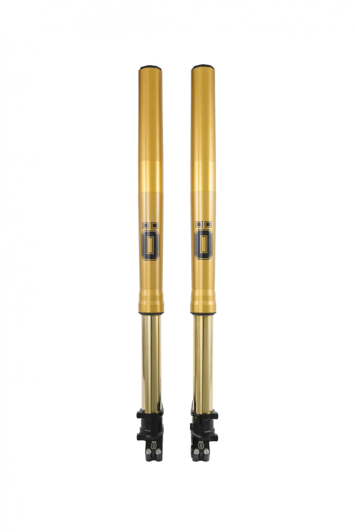 Öhlins Front Fork Adventure (FFHO 102)