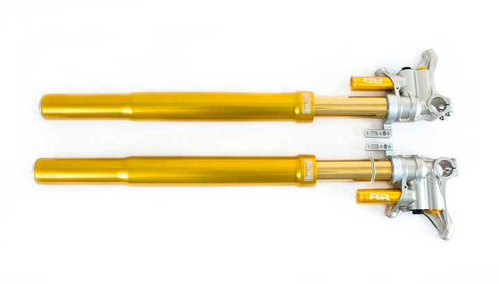 Öhlins FGR 300 Fork Assembly (FGR 300)