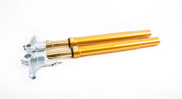 Öhlins FGRT 200 Fork Assembly (FGRT 219)