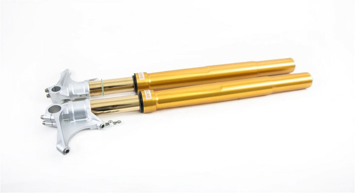 Öhlins FGRT 200 Fork Assembly (FGRT 232)