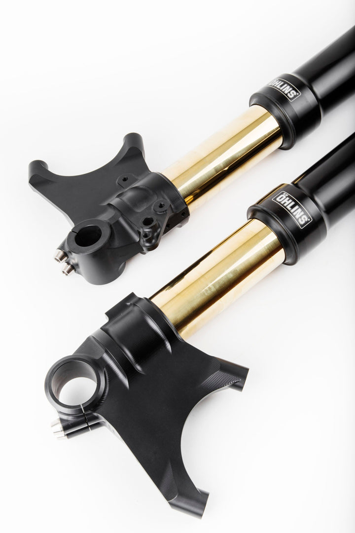 Öhlins Custom 48 Fork Assembly (FGRT 301)