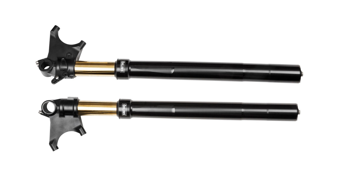 Öhlins Custom 48 Fork Assembly (FGRT 301)