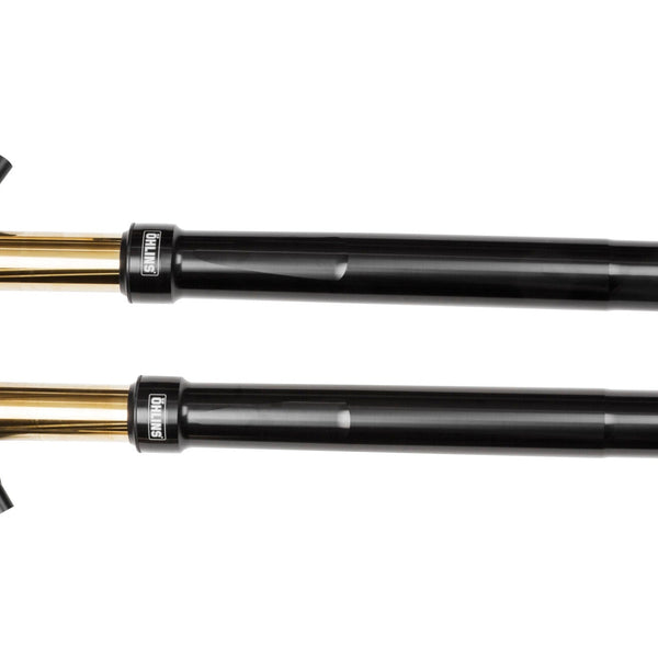 Öhlins Custom 48 Fork Assembly (FGRT 301) for 2011-2018 Ducati Diavel