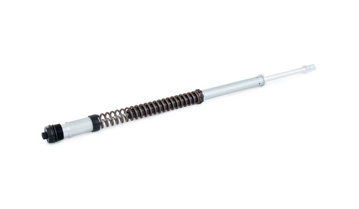 Öhlins NIX 22 Fork Cartridge Kit (FKS 203)