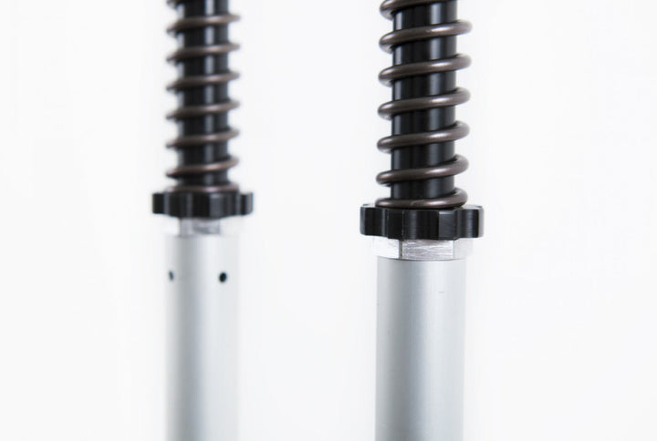 Öhlins NIX 22 Fork Cartridge Kit (FKS 216)