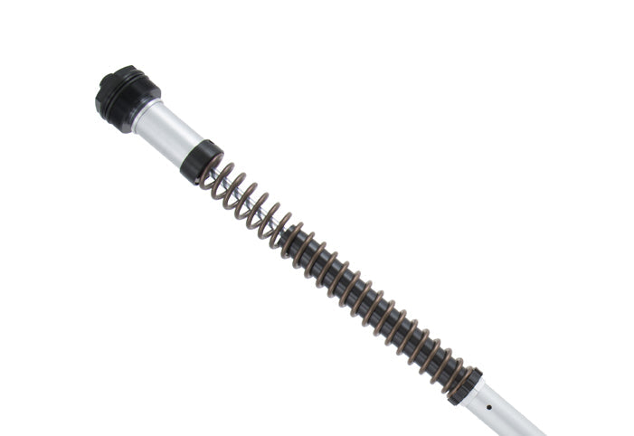 Öhlins NIX 22 Fork Cartridge Kit (FKS 229)