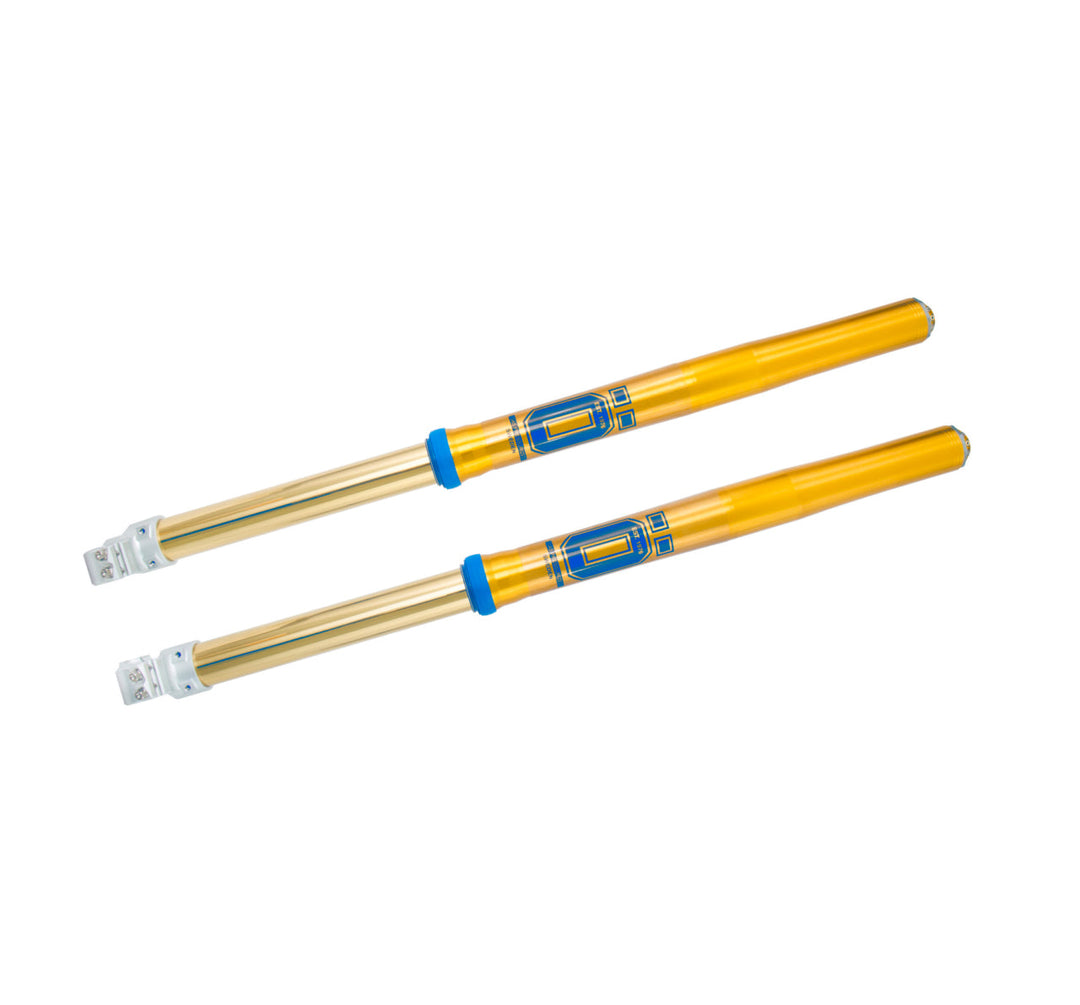 Öhlins RXF 48 Fork Assembly (FFX 1204)