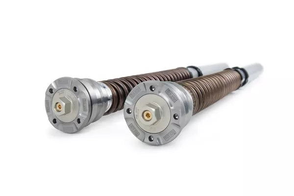 Öhlins NIX 30 Fork Cartridge Kit (FGK 242)