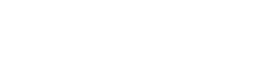 Quad Lock
